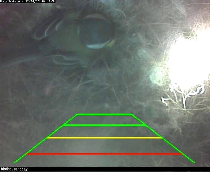 Mountains and fjords